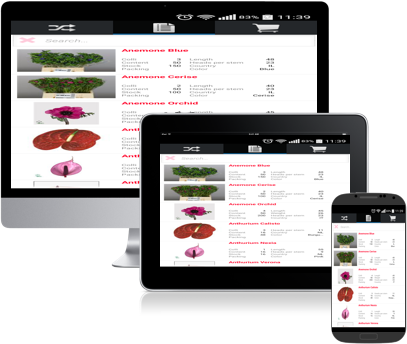 Screenshot of Kelly Flowers app on iphone
